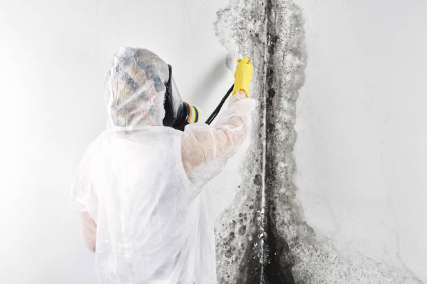 Best 24/7 water damage repair  in Thunderbolt, GA